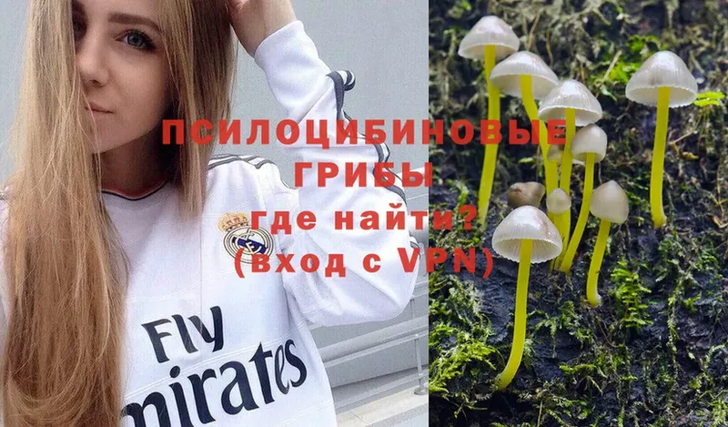 даркнет официальный сайт  купить наркотики сайты  OMG как зайти  Остров  Галлюциногенные грибы ЛСД 